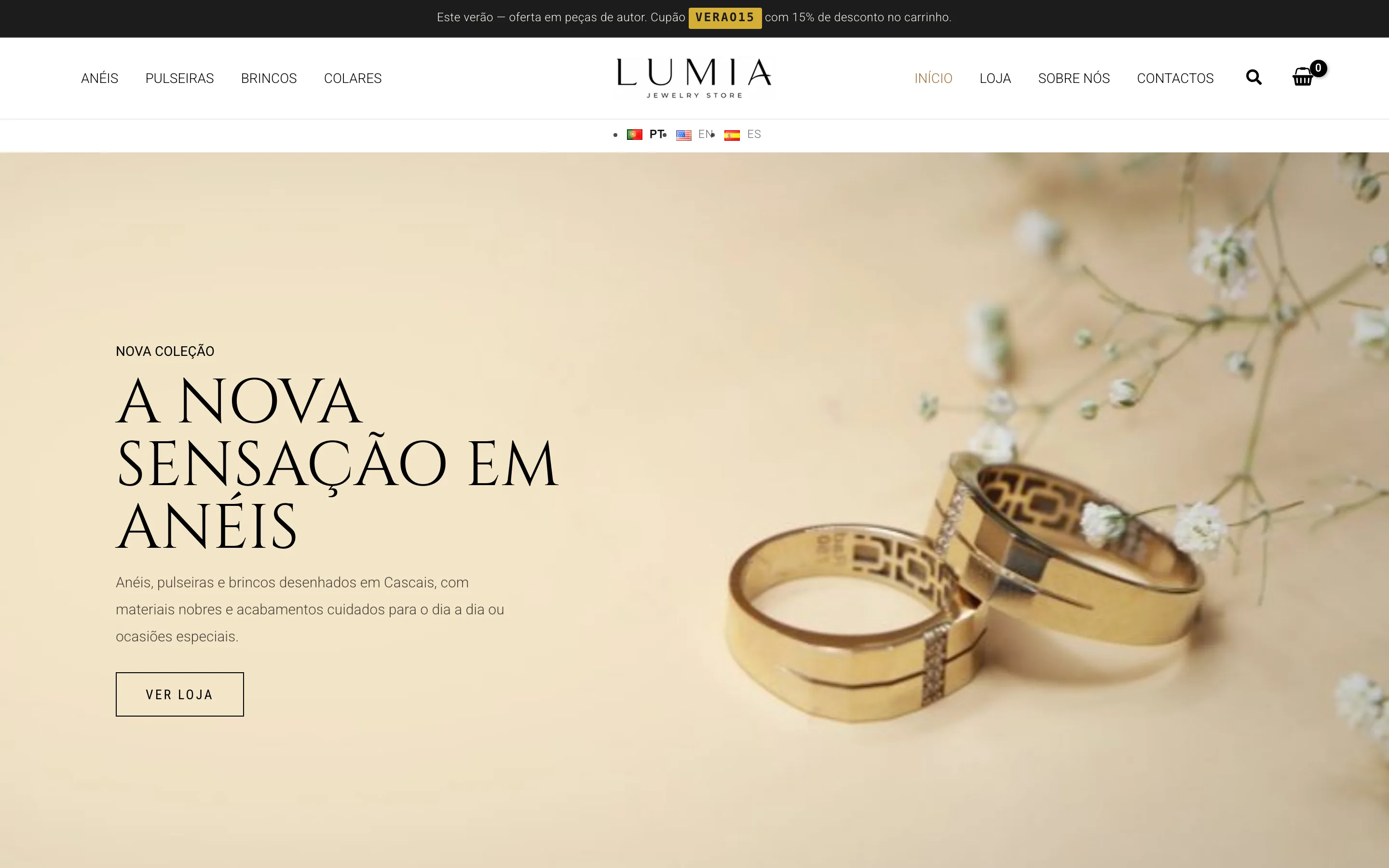 Pré-visualização do website Loja online